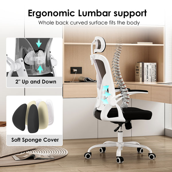 English Elm Ergonomic Office Chair - High Back Mesh Desk Chair With Adjustable Lumbar Support & Headrest, White/Black T3623P380914
