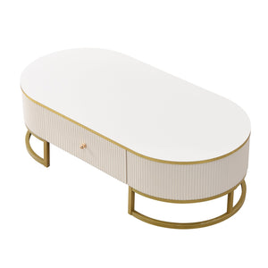 English Elm Modern Oval Coffee Table with Drawers and Gold Base, High-Gloss White Finish, Durable 47.2" Centerpiece N735P192897K