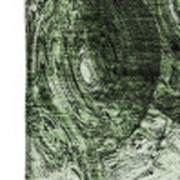 HomeRoots 8' X 10' Stylish Green & Charcoal Abstract Area Rug - Washable, UV Protected, Ideal for Homes with Kids! 650150