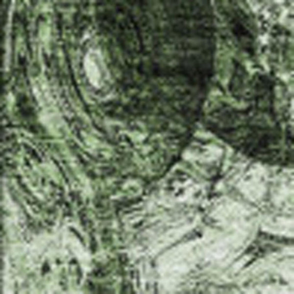 HomeRoots 9' X 12' Green and Charcoal Abstract Area Rug - Stain Resistant, UV Protected for Modern Spaces 650151