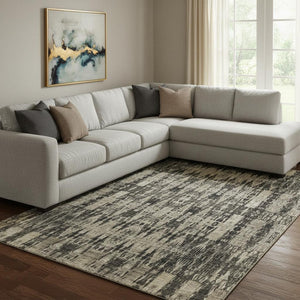 HomeRoots 8' X 10' Black and Beige Moroccan Area Rug – Washable, Stain Resistant, UV Protected for Homes with Pets 650192