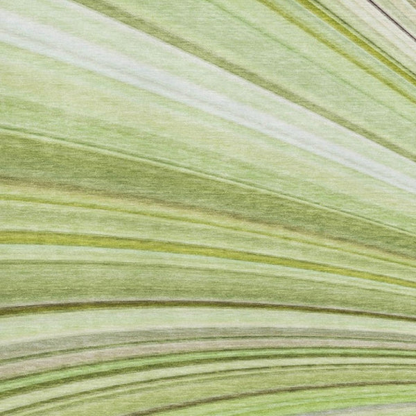 HomeRoots 8' X 10' Artichoke Green Abstract Area Rug with UV Protection, Washable & Durable for Busy Homes 650330