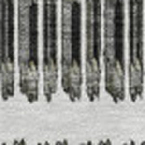 HomeRoots 8' X 10' Gray And Ivory Striped Washable Area Rug – Stain Resistant, UV Protected, Easy Care Design 650480