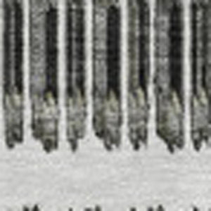 HomeRoots 10' Gray and Ivory Striped Washable Area Rug - UV Protected, Stain Resistant, Ideal for Busy Homes! 650482