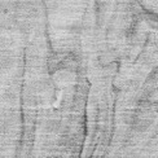 HomeRoots 8' X 10' Gray and Ivory Abstract Area Rug – Washable, Stain Resistant, UV Protected for Busy Homes! 650954