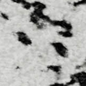 HomeRoots 5' Black and Ivory Abstract Washable Area Rug - UV Protected, Durable, Stylish for Any Room 651060