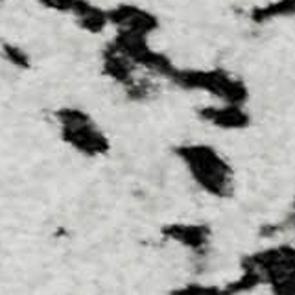 HomeRoots 5' Black and Ivory Abstract Washable Area Rug - UV Protected, Durable, Stylish for Any Room 651060