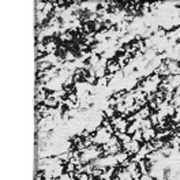 HomeRoots 8' X 10' Black And Ivory Abstract Area Rug - Stylish, Washable, UV-Protected, Perfect for Homes! 651062