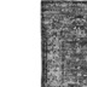 HomeRoots 10' X 14' Charcoal & Silver Floral Area Rug – Washable, UV-Protected, Stain-Resistant Design for Homes 651172