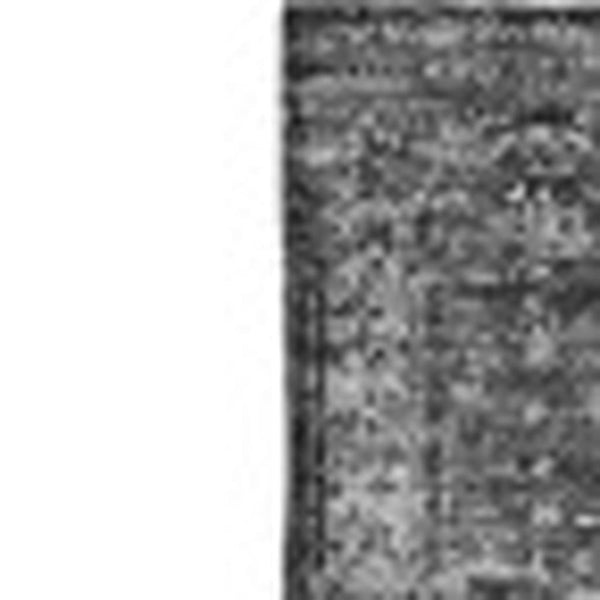 HomeRoots 10' X 14' Charcoal & Silver Floral Area Rug – Washable, UV-Protected, Stain-Resistant Design for Homes 651172