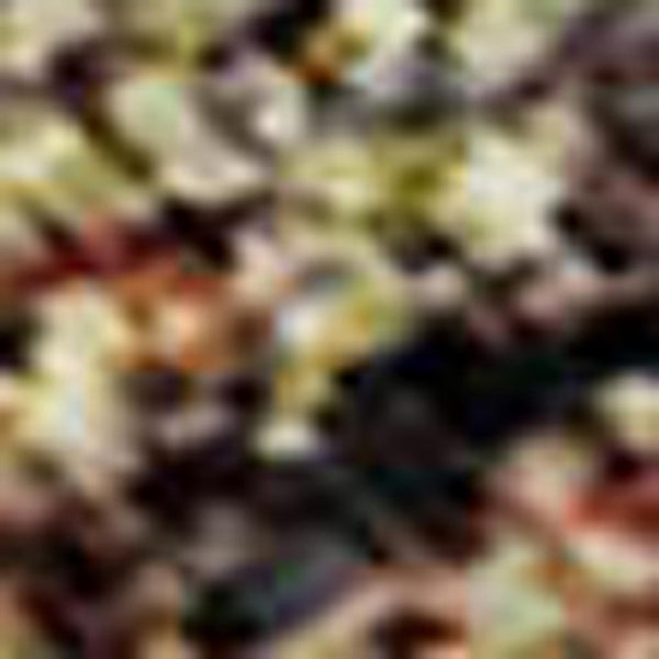 HomeRoots 9' X 12' Green and Copper Floral Medallion Area Rug - UV Protected, Washable, Stain Resistant, Durable 651321