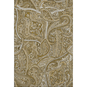HomeRoots 5' Brown and Ivory Paisley Area Rug - Washable, UV Protected, Stain Resistant for Modern Living Spaces 652637