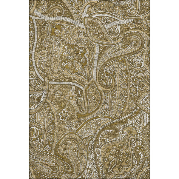 HomeRoots 5' Brown and Ivory Paisley Area Rug - Washable, UV Protected, Stain Resistant for Modern Living Spaces 652637