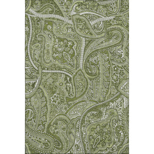 HomeRoots 9' X 12' Green and Ivory Paisley Area Rug – Washable, UV Protected, Durable for High-Traffic Spaces 652646
