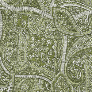 HomeRoots 9' X 12' Green and Ivory Paisley Area Rug – Washable, UV Protected, Durable for High-Traffic Spaces 652646