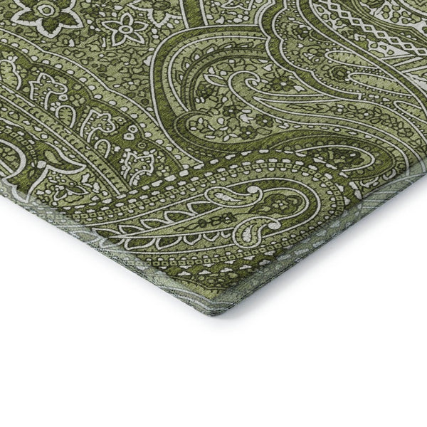 HomeRoots 10' X 14' Green & Ivory Paisley Washable Area Rug - Durable, Soft, UV-Protected for Busy Homes 652647