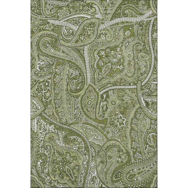 HomeRoots 10' X 14' Green & Ivory Paisley Washable Area Rug - Durable, Soft, UV-Protected for Busy Homes 652647