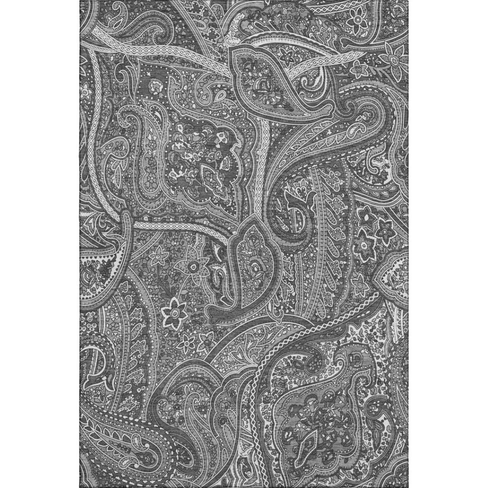 HomeRoots 8' X 10' Gray and Ivory Paisley Area Rug - Washable, UV Protected, Stain Resistant for Busy Homes 652651