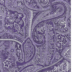 HomeRoots 9' X 12' Stylish Purple and Ivory Paisley Area Rug – Washable, UV Protected, Stain Resistant Design! 652664