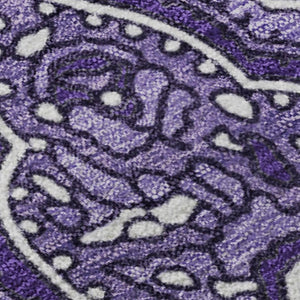 HomeRoots 9' X 12' Stylish Purple and Ivory Paisley Area Rug – Washable, UV Protected, Stain Resistant Design! 652664
