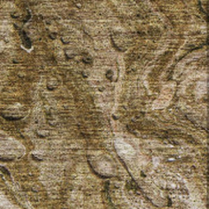 HomeRoots 10' Brown & Ivory Abstract Washable Area Rug - Durable, Stain-Resistant, UV Protected for Homes 653446