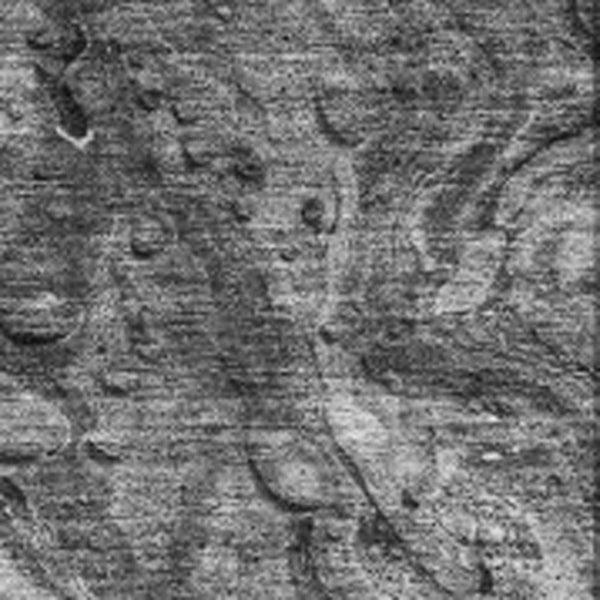 HomeRoots 8' X 10' Gray & Ivory Abstract Area Rug - Washable, Stain-Resistant & UV Protected for Modern Living 653450