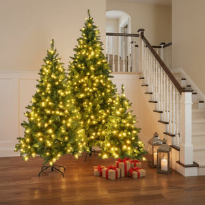 HomeRoots Three Piece Pre-Lit Frosted Pine Tree Set - Extra Full, Versatile Holiday Decor for Any Space 653854