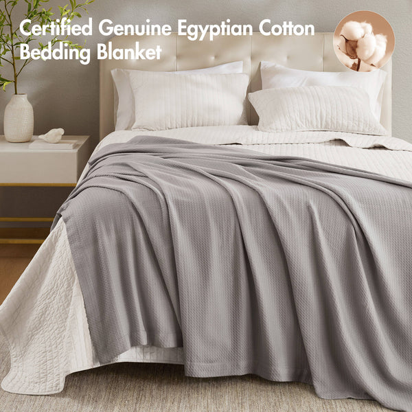 JLA Home Madison Park - Blanket Egyptian Cotton Ultra-Soft White Throw for Year-Round Breathable Comfort and Lasting Durability Grey MP51N-5165