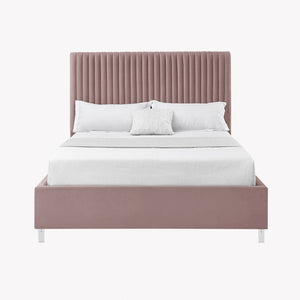 HomeRoots Blush Tufted Velvet Queen Bed Frame - Luxe Upholstered Platform Design with Cozy Modern Style 654296