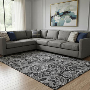 HomeRoots 8' X 10' Black And Ivory Paisley Area Rug - Washable, Stain-Resistant, UV Protected for Any Room 654636