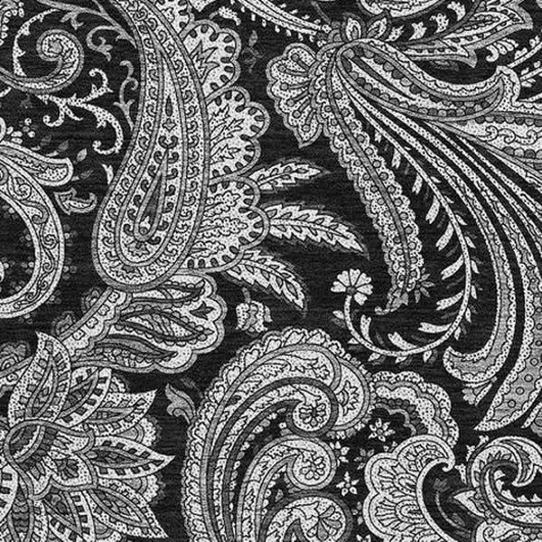 HomeRoots 10' X 14' Black and Ivory Paisley Area Rug - Washable, UV-Protected, Perfect for Family Homes! 654638