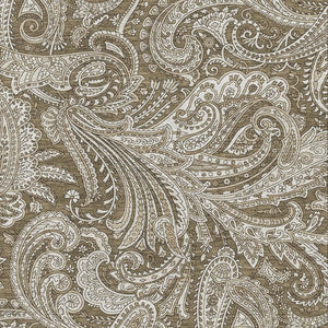HomeRoots 10' X 14' Chocolate and Ivory Paisley Washable Area Rug - Durable, UV Protected, Stylish Foundation for Homes 654650
