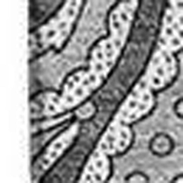 HomeRoots 5' X 8' Gray Ivory Paisley Area Rug - Washable, UV Protected, Perfect for Homes with Kids & Pets! 654658