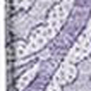 HomeRoots 10' X 14' Elegant Lavender & Ivory Paisley Area Rug - Washable, UV Protected, Pet-Friendly Design! 654668
