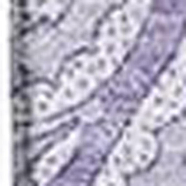 HomeRoots 10' X 14' Elegant Lavender & Ivory Paisley Area Rug - Washable, UV Protected, Pet-Friendly Design! 654668