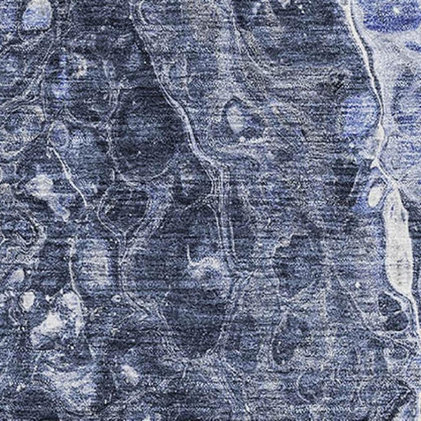 HomeRoots 8' X 10' Abstract Navy Blue & Ivory Washable Area Rug with UV Protection for Stylish Living Spaces 655497