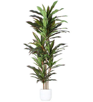 HomeRoots 7" Green Artificial Dracaena in Modern Black Cement Pot - Realistic, Adjustable, Low-Maintenance Decor 655608