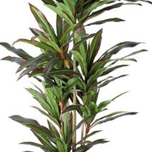 HomeRoots 7" Green Artificial Dracaena in Modern Black Cement Pot - Realistic, Adjustable, Low-Maintenance Decor 655608