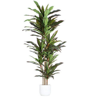 HomeRoots 7" Green Artificial Dracaena in Modern Black Cement Pot - Realistic, Adjustable, Low-Maintenance Decor 655608