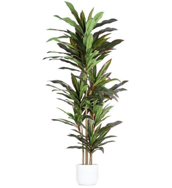 HomeRoots 7" Green Artificial Dracaena in Modern Black Cement Pot - Realistic, Adjustable, Low-Maintenance Decor 655608