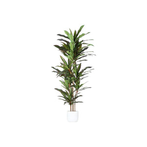 HomeRoots 7" Green Artificial Dracaena in Modern Black Cement Pot - Realistic, Adjustable, Low-Maintenance Decor 655608