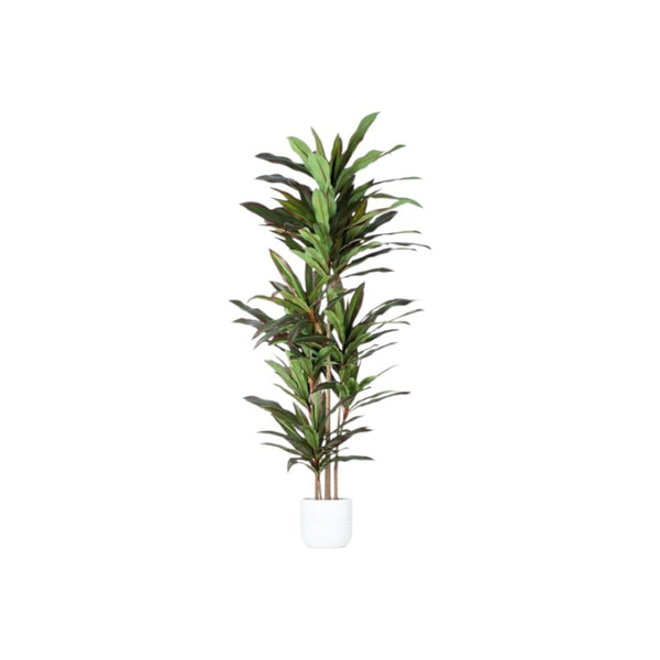 HomeRoots 7" Green Artificial Dracaena in Modern Black Cement Pot - Realistic, Adjustable, Low-Maintenance Decor 655608