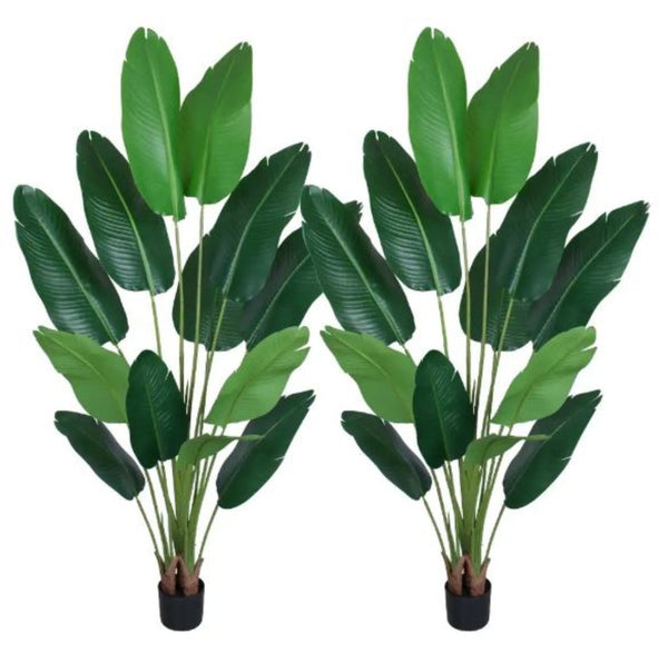 HomeRoots Set of Two 7" Green Artificial Banana Leaf Plants in Chic Black Cement Pots – Low Maintenance Decor 655617