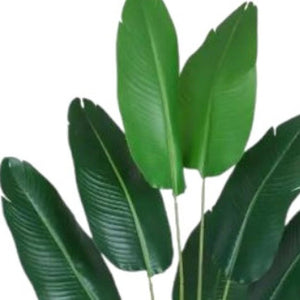 HomeRoots Set of Two 7" Green Artificial Banana Leaf Plants in Chic Black Cement Pots – Low Maintenance Decor 655617