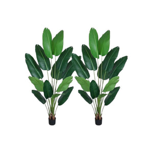 HomeRoots Set of Two 7" Green Artificial Banana Leaf Plants in Chic Black Cement Pots – Low Maintenance Decor 655617