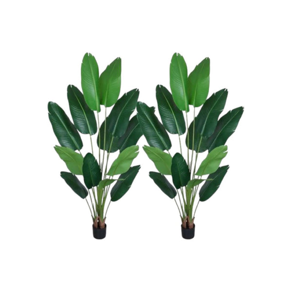 HomeRoots Set of Two 7" Green Artificial Banana Leaf Plants in Chic Black Cement Pots – Low Maintenance Decor 655617