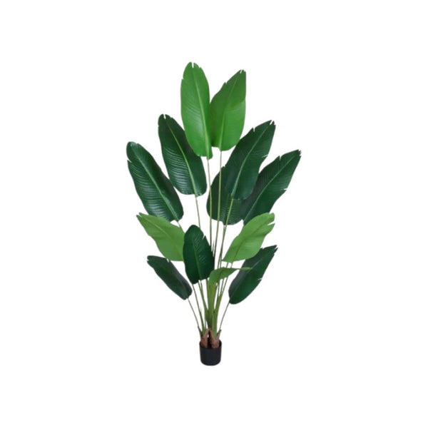 HomeRoots Set of Two 7" Green Artificial Banana Leaf Plants in Chic Black Cement Pots – Low Maintenance Decor 655617