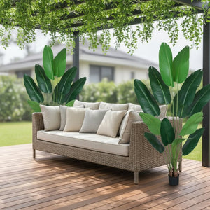 HomeRoots Set of Two 7" Green Artificial Banana Leaf Plants in Chic Black Cement Pots – Low Maintenance Decor 655617