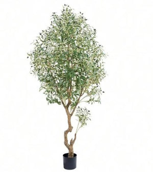 HomeRoots 8" Green Artificial Olive Tree in Stylish Black Cement Pot – Low-Maintenance Home Décor Accent 655618