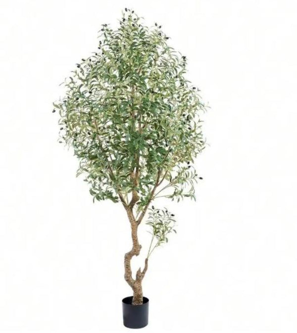 HomeRoots 8" Green Artificial Olive Tree in Stylish Black Cement Pot – Low-Maintenance Home Décor Accent 655618